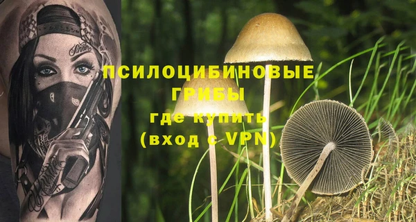 круглые Зеленокумск