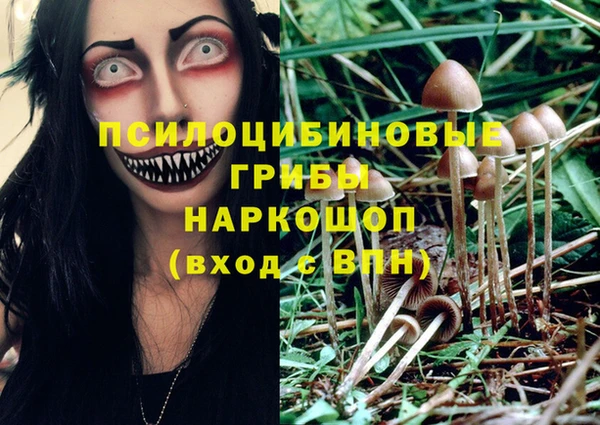 наркотики Зерноград