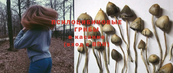 наркотики Зерноград
