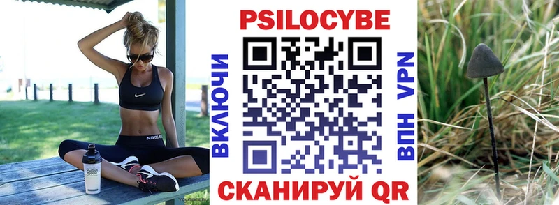 Купить где  Дальнегорск  Галлюциногенные грибы Psilocybe 